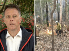 Anthony Albanese e Chris Minns prestam homenagem aos bombeiros mortos no incêndio de Bulahdela