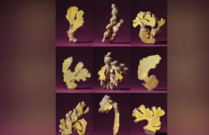 Quão saudável é o gengibre?