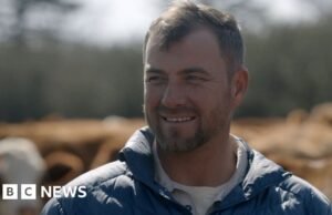 ‘Somos uma espécie em extinção’