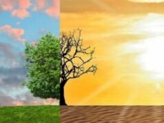 Digital Carbon Conference destaca o futuro dos estilos de vida sustentáveis