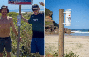 Kits para mordidas de tubarão inspirados em sobreviventes de ataques agora são apoiados pelo governo de NSW