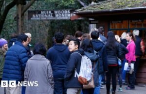 O National Park Service remove a entrada gratuita no dia de Martin Luther King Jr.