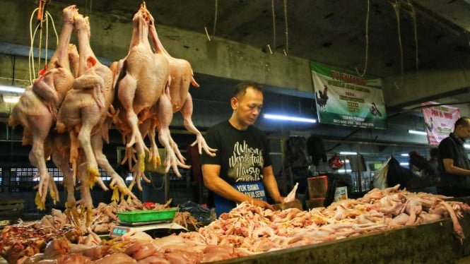 64a2c57a6fcf7-pedagang-daging-ayam-di-pasar-tradisional_665_374.jpeg