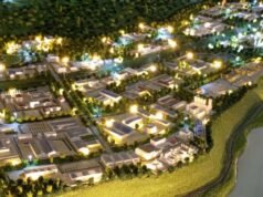 Gerenciando a PSN desde a aceleração até a governança sustentável