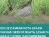 Grande comoção! Um grande crocodilo visto sentado no meio dos campos de arroz de Buntargebang, Bekasi
