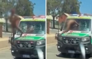 A polícia pede desculpas por demorar mais de 20 minutos para chegar aos paramédicos após ataque de um homem supostamente nu