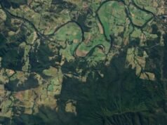 Fim trágico da busca por pessoa desaparecida, corpo encontrado perto de um veículo com tração nas quatro rodas pantanoso na floresta de Bago, no centro da costa norte de NSW