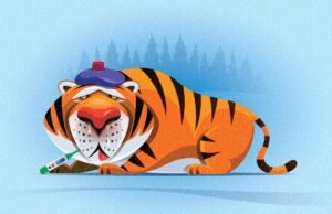 Tiger Global planeja futuro de risco cauteloso com novo fundo de US$ 2,2 bilhões