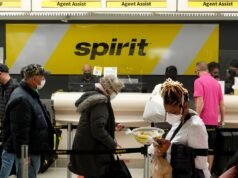 Dois funcionários da Spirit Airlines enfrentam acusações por roubar uma bolsa Louis Vuitton de US$ 500 de um passageiro
