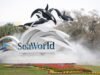 A amada SeaWorld Orca Catina morreu aos 50 anos