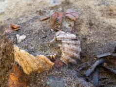 Detectores de metais revelaram um dos túmulos vikings mais extraordinários da Noruega