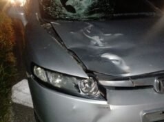 Morador de rua morre após ser esmagado na rodovia Padre Manuel da Nóbrega, Sp