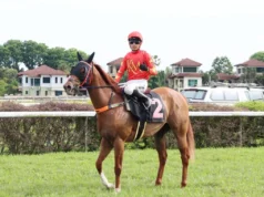 Impressão rápida e destemida | Os tempos do estreito