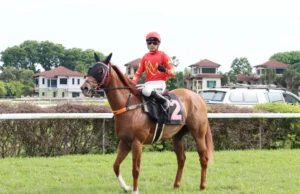 Impressão rápida e destemida | Os tempos do estreito