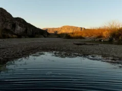 Sheinbaum, do México, busca acordo de água com os EUA após alerta tarifário de Trump