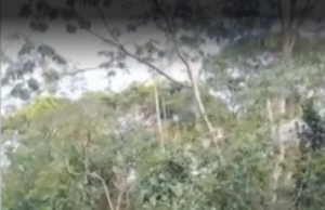 24 feridos em colisão entre caminhão e ônibus na BR-040