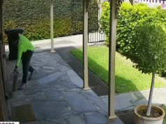 Milhões de pacotes de Natal em risco de ‘piratas de varanda’ nesta temporada de férias