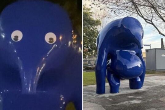 Amelia Vanderhorst, de Mount Gambier, aparece no tribunal acusada de colar olhos arregalados em uma estátua azul de US$ 136 mil