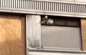 Diner mudou-se para Steiner Studios para uso em produção