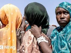Centenas de pessoas foram mortas em bombardeios da força aérea contra cidades, mercados e escolas, dizem relatórios