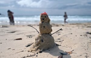 Alerta de saúde após vírus de Ross River encontrado na região de Gippsland, em Victoria