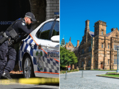 Repressão policial ao suposto anti-semitismo enquanto homem de QLD e mulher de NSW são acusados de atos separados