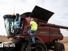 Trump divulga pacote de ajuda agrícola de US$ 12 bilhões em meio a disputa comercial global