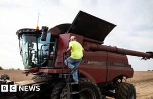 Trump divulga pacote de ajuda agrícola de US$ 12 bilhões em meio a disputa comercial global