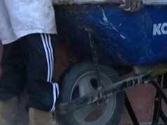 O carro voou e bateu em uma clínica de animais de estimação em St. Louis