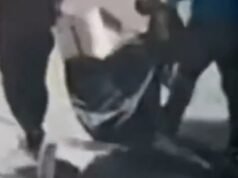 Oito quadros de Henri Matisse roubados no Brasil