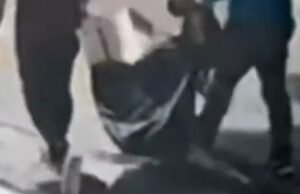 Oito quadros de Henri Matisse roubados no Brasil