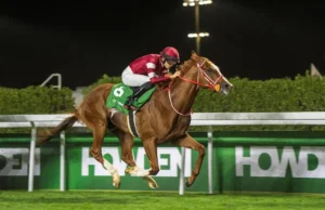 Neom Turf Cup alcança status de Grupo 1 em 2026