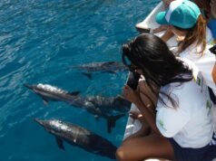 Fernando de Noronha abre inscrições gratuitas para feriados ambientais voltados ao público infantil