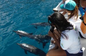 Fernando de Noronha abre inscrições gratuitas para feriados ambientais voltados ao público infantil