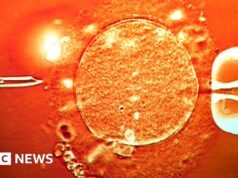 Esperma de doador com genes causadores de câncer foi usado para engravidar quase 200 crianças