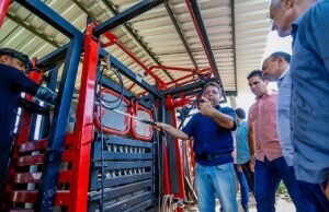 Piawi +Genetica beneficia mais de 1.100 produtores em 103 cidades do estado