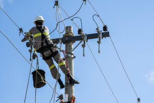 Vento provocou queda de árvores e falta de energia elétrica no Alto Tietê