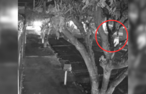 Vídeo: Jovem morto a tiros enquanto estava sentado na calçada com amigos em Rio Preto