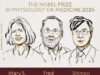 Os ganhadores do Nobel disseram esperar que a descoberta leve a novos tratamentos contra o câncer e doenças autoimunes.