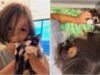 O menino realiza a ‘operação’ para esconder o gato em uma viagem de 400 km