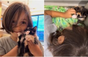 O menino realiza a ‘operação’ para esconder o gato em uma viagem de 400 km