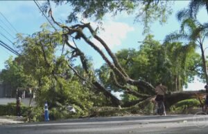 Há 10 anos, os moradores de São Paulo vivenciam tempestades cada vez mais intensas; Especialistas alertam para necessidade de prevenção