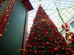 Programado para Natal ou Ano Novo? Veja direitos, férias e o que os trabalhadores precisam saber