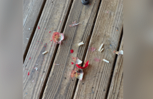 Vovó quebra um enfeite de Natal de décadas atrás – chocada com o que está escondido dentro