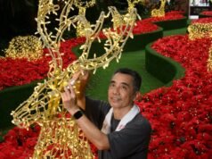 Conheça o homem que vai levar você ao espírito festivo do país das maravilhas do Natal