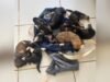A mulher foi investigada após abandonar sete cachorrinhos