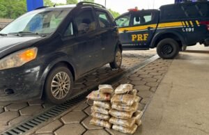 Motorista é preso após encontrar gambá PRF de 23,4 kg em carro na BR-226 em MA