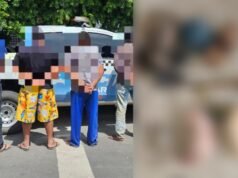 Caça ilegal: Suspeitos de matar animais e capturar pássaros são levados para delegacia PI