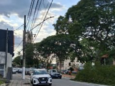 Árvores caíram na Avenida Mogi das Cruzes
