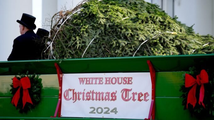 white-house-christmas-tree-2024.jpg